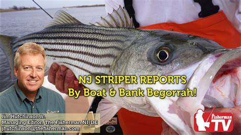 delaware bay fishing report|current fishing reports in nj.
